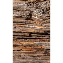 Kuvatapetti Dimex Tree Bark, 150x250cm, ruskea, puukuosi