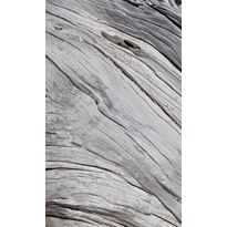 Kuvatapetti Dimex Tree Texture, 150x250cm, harmaa, puukuosi