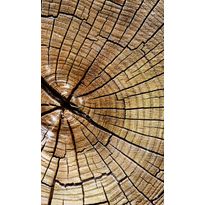 Kuvatapetti Dimex Wood, 150x250cm, ruskea, puukuosi