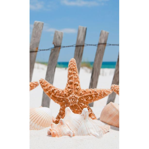 Kuvatapetti Dimex Starfish, 150x250cm