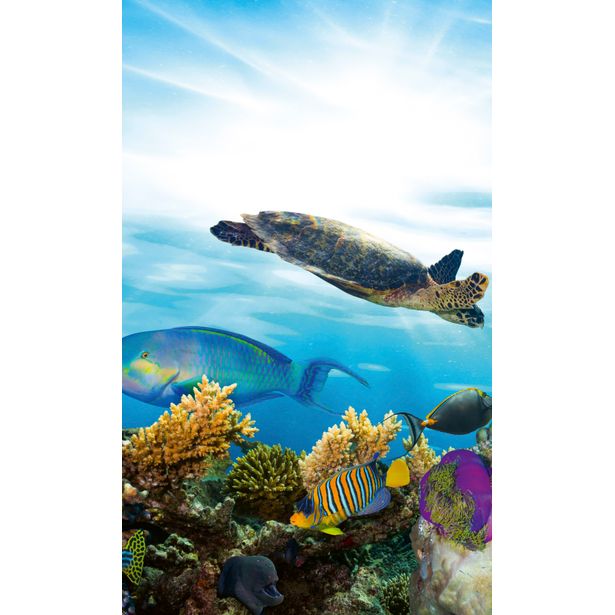 Kuvatapetti Dimex Fish, 150x250cm