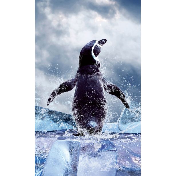 Kuvatapetti Dimex Penguin, 150x250cm
