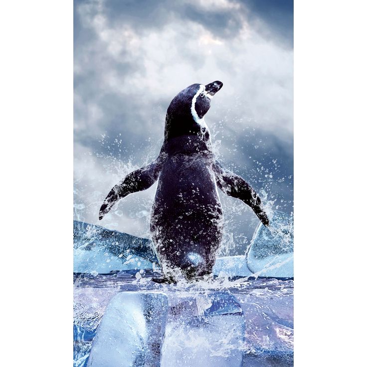Kuvatapetti Dimex Penguin, 150x250cm