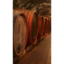 Kuvatapetti Dimex Wine Barrels, 150x250cm, ruskea, tynnyrit