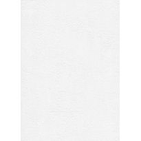 Tasoitetapetti Patent Decor Express 2212, 0,75x 25m