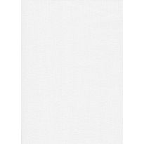 Tasoitetapetti Patent Decor Express 2213, 0,75x 25m