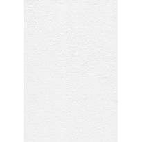 Tasoitetapetti Patent Decor Express 2214, 0,75x 25m