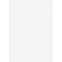 Tasoitetapetti Patent Decor Express 2215, 0,75x 25m