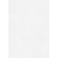 Tasoitetapetti Patent Decor Express 2216, 0,75x 25m