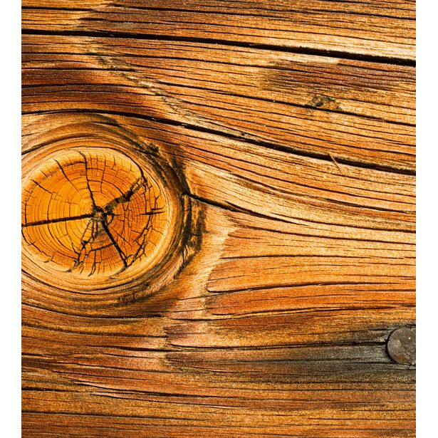 Kuvatapetti Dimex Wood Knot, 225x250cm