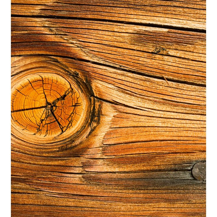 Kuvatapetti Dimex Wood Knot, 225x250cm