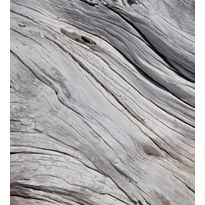 Kuvatapetti Dimex Tree Texture, 225x250cm, harmaa, puukuosi