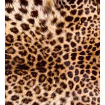 Kuvatapetti Dimex Leopard Skin, 225x250cm, oranssi