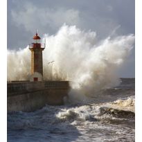 Maisematapetti Dimex Lighthouse, 225x250cm