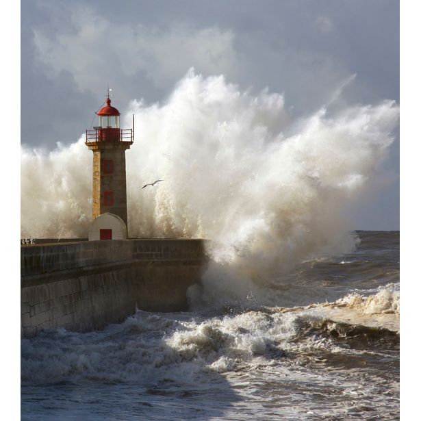 Maisematapetti Dimex Lighthouse, 225x250cm