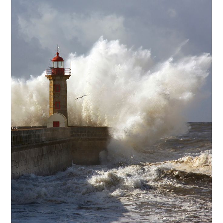Maisematapetti Dimex Lighthouse, 225x250cm