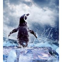 Kuvatapetti Dimex Penguin, 225x250cm, sininen, eläinkuosi