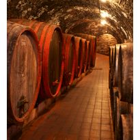 Kuvatapetti Dimex Wine Barrels, 225x250cm, ruskea, tynnyrit