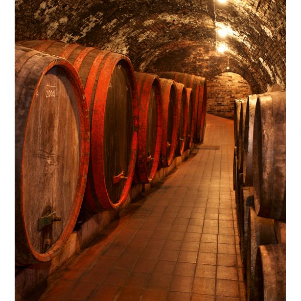 Kuvatapetti Dimex Wine Barrels, 225x250cm