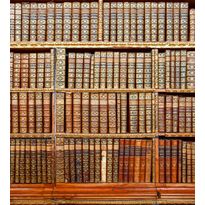 Kuvatapetti Dimex Library, 225x250cm, ruskea, kirjahyllykuosi