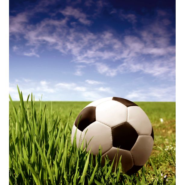 Kuvatapetti Dimex Soccer Ball, 225x250cm