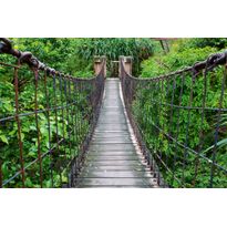 Maisematapetti Dimex Footbridge, 375x250cm