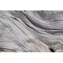 Kuvatapetti Dimex Tree Texture, 375x250cm, harmaa, puukuosi