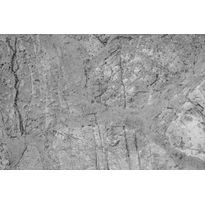 Kuvatapetti Dimex Concrete Floor, 375x250cm, harmaa