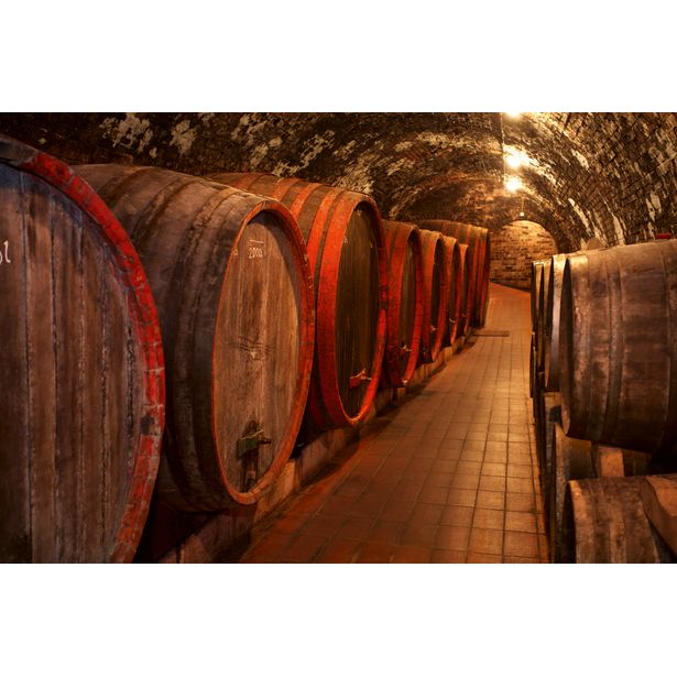 Kuvatapetti Dimex Wine Barrels, 375x250cm