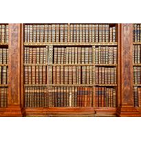 Kuvatapetti Dimex Library, 375x250cm, ruskea, sileäpintainen