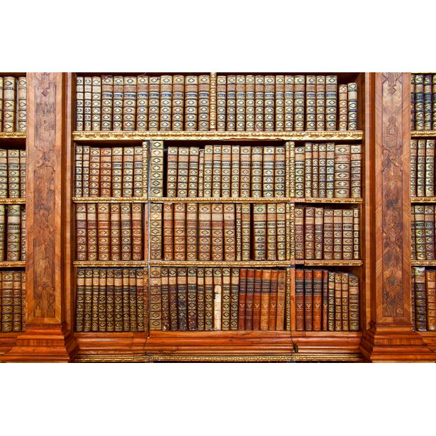 Kuvatapetti Dimex Library, 375x250cm