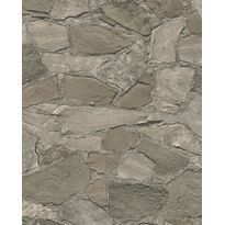 Tapetti Imagine 81908, 0,53x10,05m