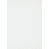 Tasoitetapetti Patent Decor Professional 9790, 1,06x25m