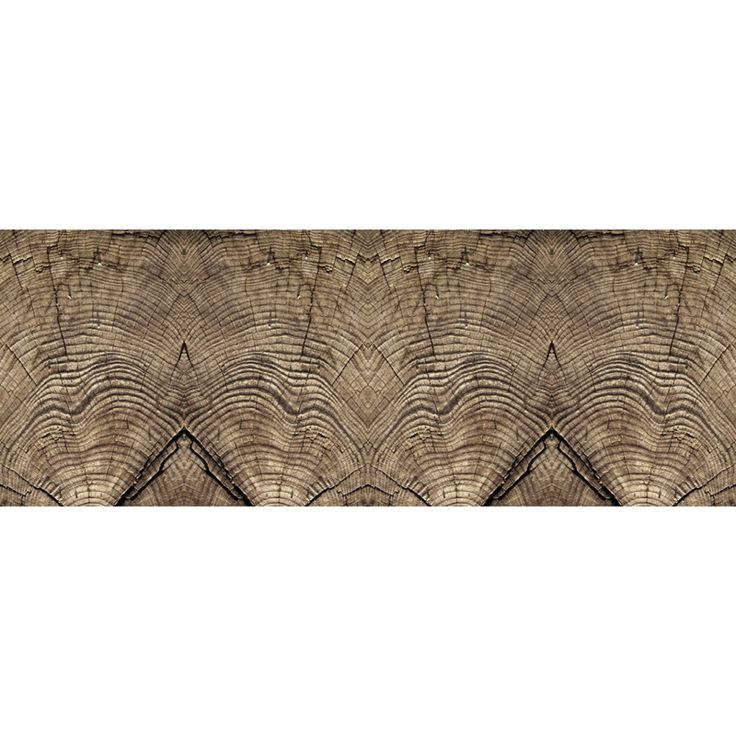 Valokuvatapetti Quattro Tree Rings 8-osainen 372x280cm