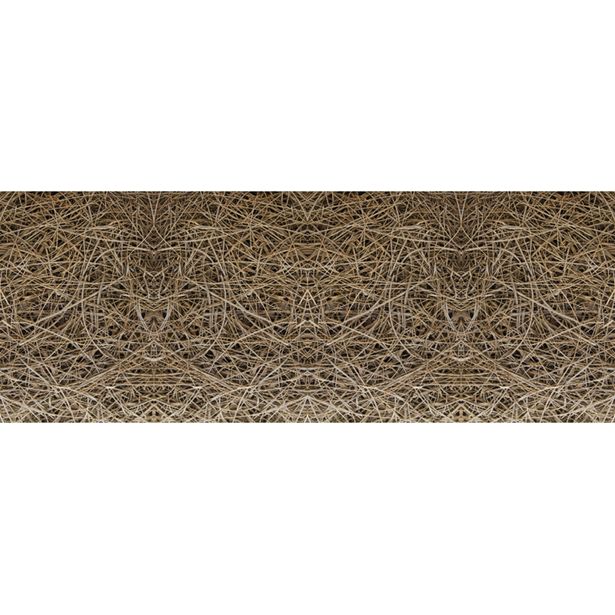Valokuvatapetti Quattro Reed 8-osainen 372x280cm