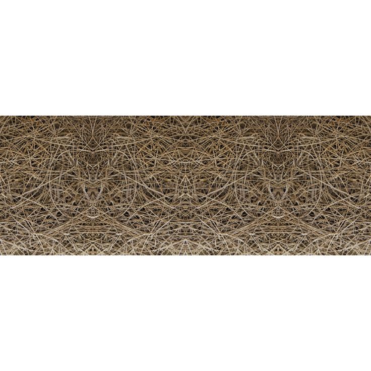 Valokuvatapetti Quattro Reed 8-osainen 372x280cm