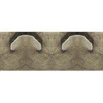 Valokuvatapetti Quattro Corel 8-osainen 372x280cm, ruskea