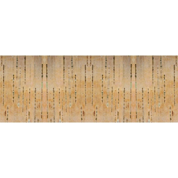 Valokuvatapetti Quattro Bark 8-osainen 372x280cm