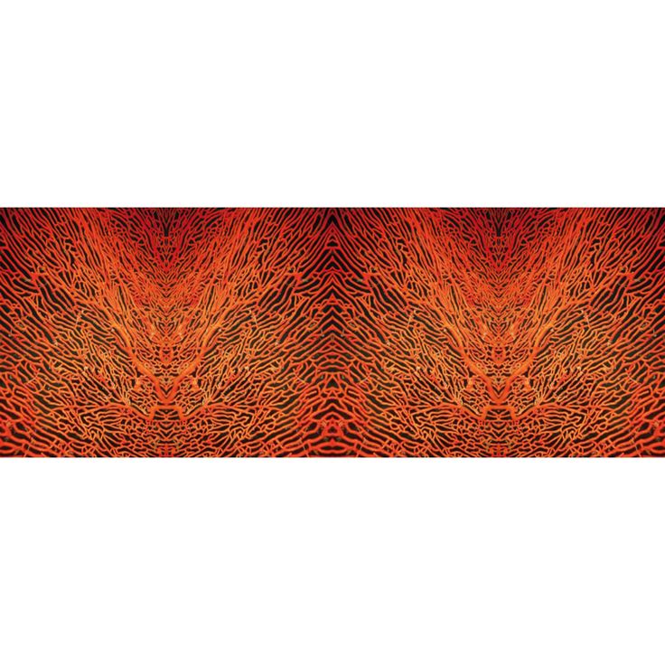Valokuvatapetti Quattro Corall 8-osainen 372x280cm