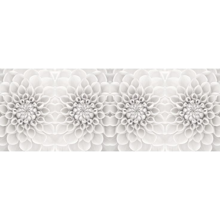 Valokuvatapetti Quattro Dahlia 8-osainen 372x280cm