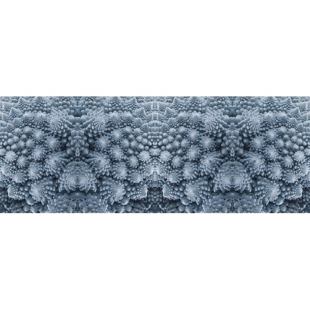 Valokuvatapetti Quattro Blue Organic 8-osainen 372x280cm