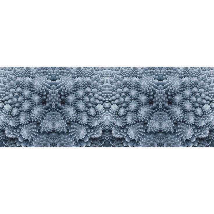 Valokuvatapetti Quattro Blue Organic 8-osainen 372x280cm