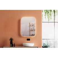 Peilikaappi LED-valolla Loevschall 600x800mm 3000K musta
