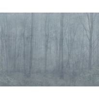 Kuvatapetti Sandberg Skog, mittatilaus, sininen
