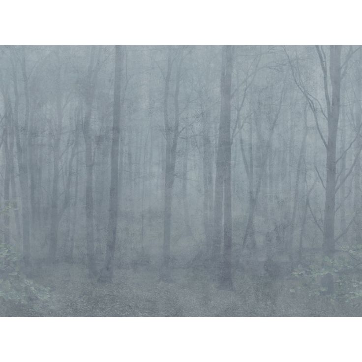 Metsätapetti Sandberg Skog, mittatilaus, sininen