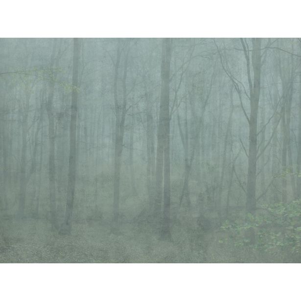 Paneelitapetti Sandberg Skog, non-woven, mittatilaus, vihreä