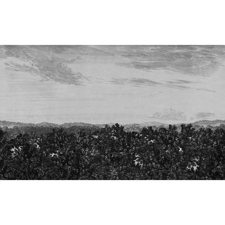 Paneelitapetti Sandberg Oak View, non-woven, mittatilaus, harmaa