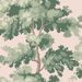Tapetti Sandberg Raphael vaaleanpunainen, non-woven (SBES10382)