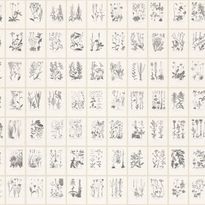 Mittatilaustapetti Sandberg Botanica, Graphite (S10509)