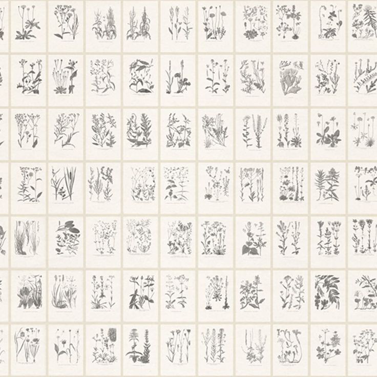 Mittatilaustapetti Botanica, Graphite (S10509)